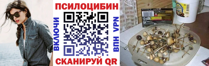 Галлюциногенные грибы мухоморы  купить наркотики цена  Юрюзань 